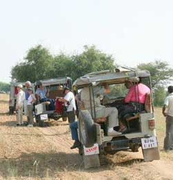 jeep ride to the tribal village of Bishnoi Image