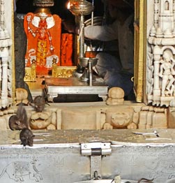 Karni Mata temple