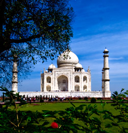 The Taj mahal Image