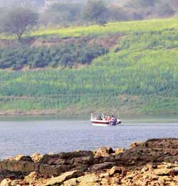 Chambal – River cruise for siting of the Ghariyal Image